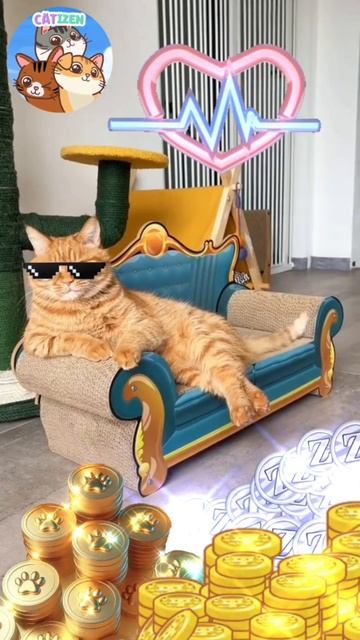 багатый кот