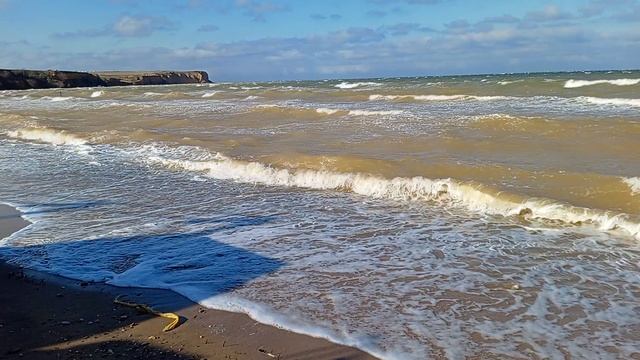 Шторм на море с. Угловое 8.02.2025