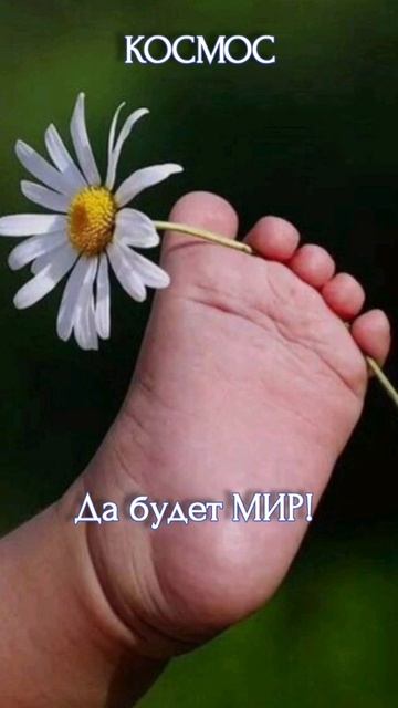 Добра Любви Мира