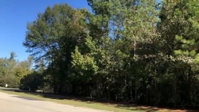 Homes for Sale - 171 Tara Place, Milledgeville, GA