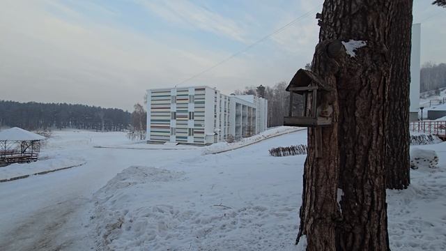 Белочка с утра