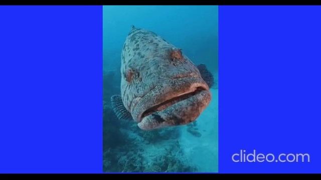 Водный Мир