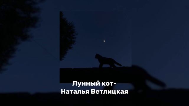 Лунный кот-Наталья Ветлицкая