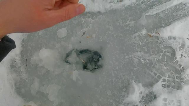 Утренний выход щуки!рыбалка на жерлицы