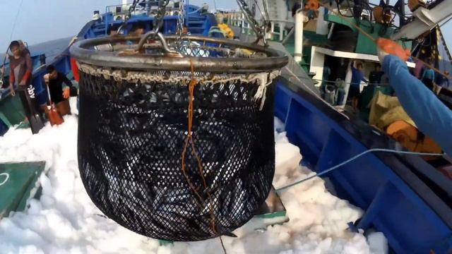 grabi daming deliver ngayon 90 tons count catching tuna  #fishingnet #fishing #fish #tuna