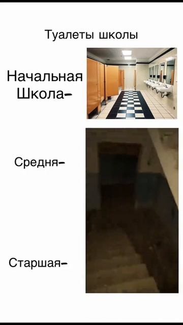 1000017409.mp4