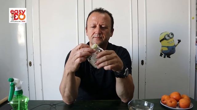 How to grow an apricot tree from seed - Βερικοκιά από σπόρο