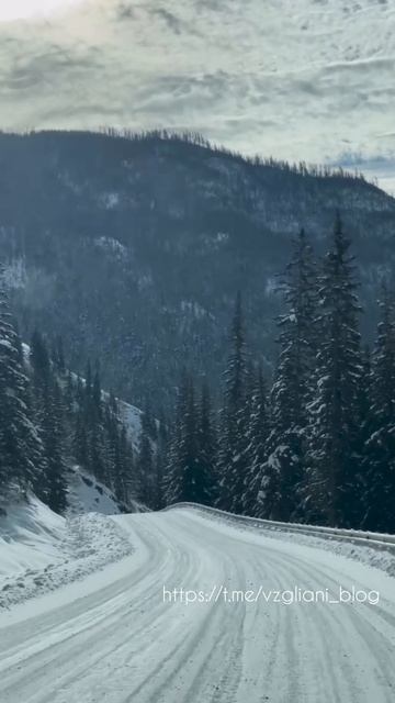 Красота заснеженной горноалтайской дороги🛣🏔https://t.me/vzgliani_blog #travel #nature #shorts #vid
