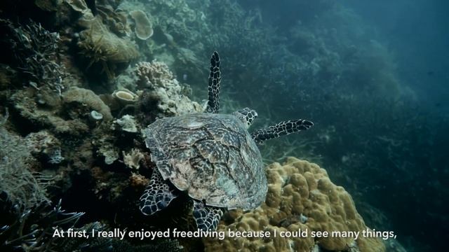 Marese on Freediving
