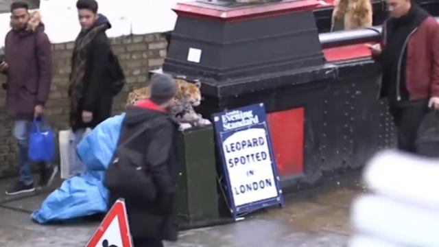 Leopard Prank - In Camden Town 🤫🤭😁