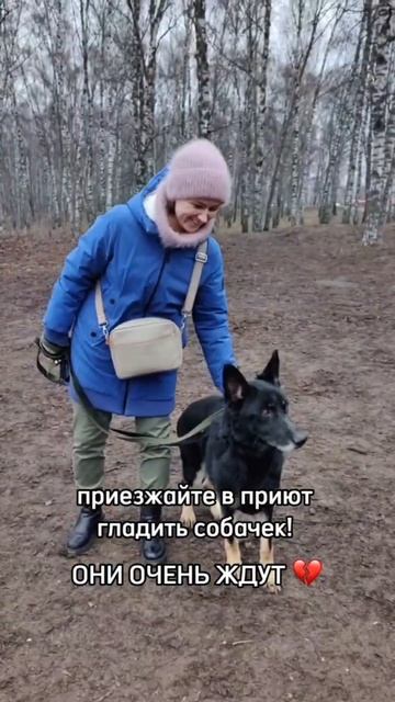 Приезжайте в приют🙏