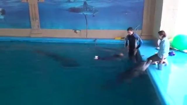 German & dolphin 15.12.12