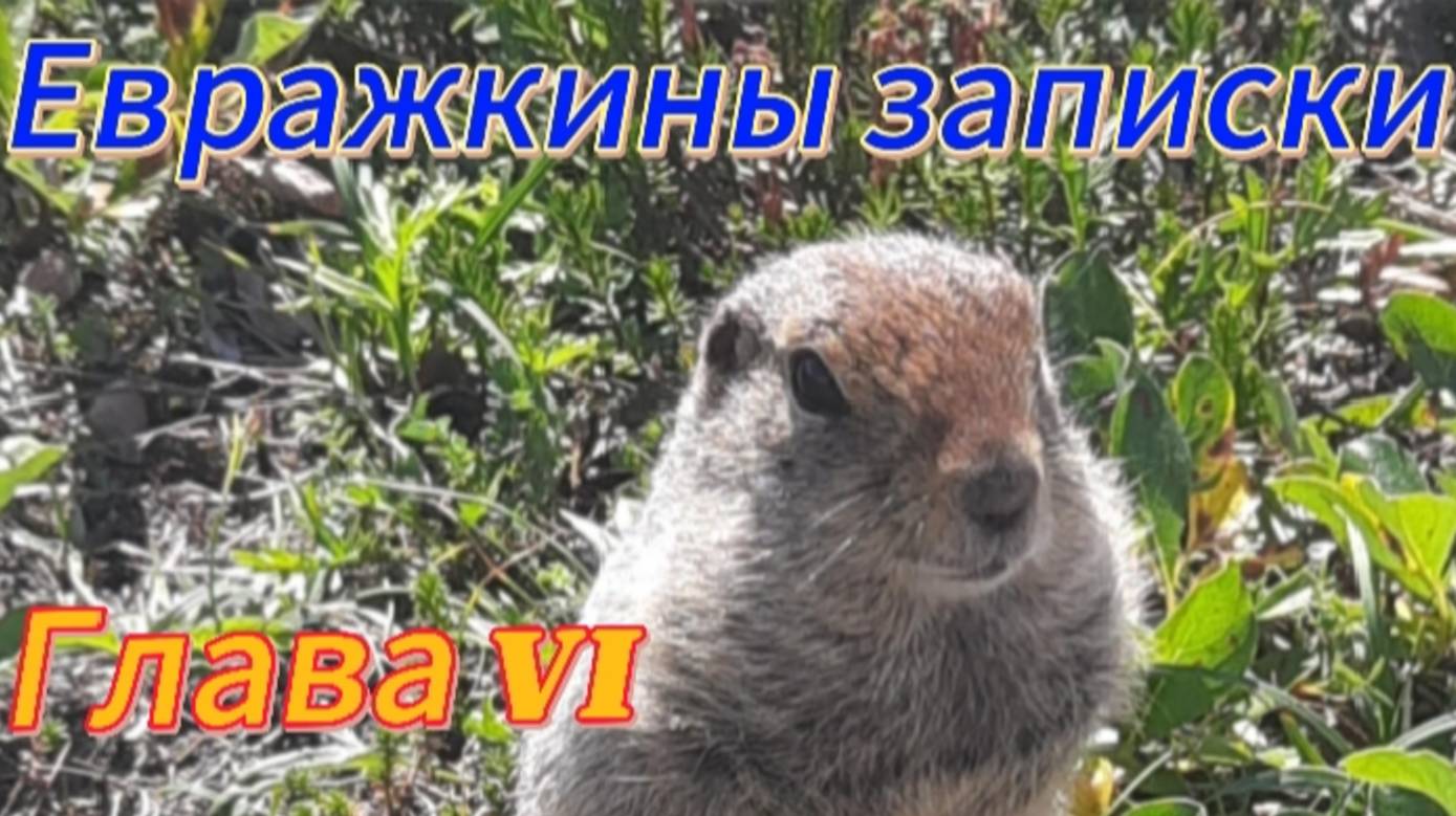 Евражкины записки . Глава VI