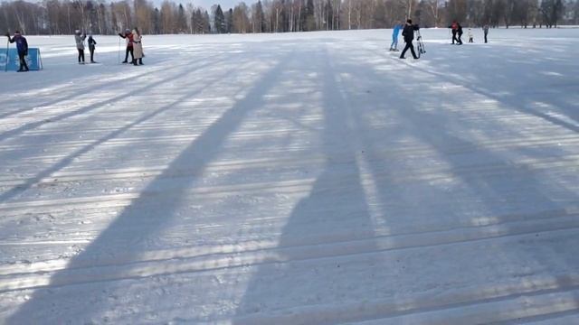 Лыжня России в Костроме. 08.02.2020 (1)