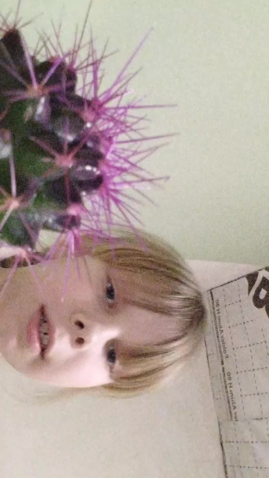 кактус