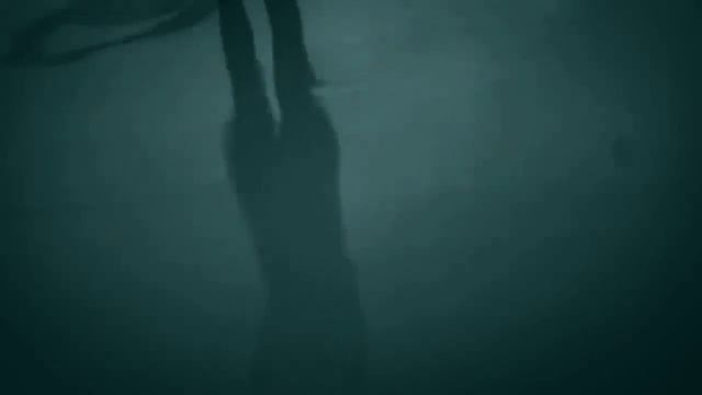 Миг - Андрей Кобцев/Анастасия Шладт