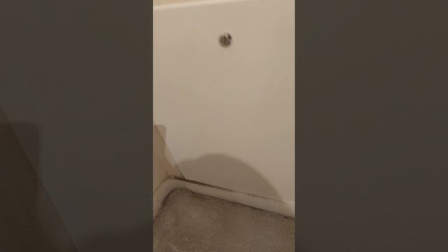 1000333214.mp4