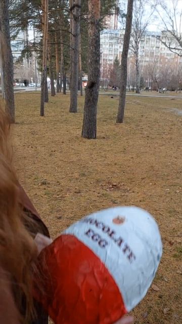 Шоколадные яйца, созданные руками эльфийки
