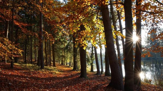 Музыка и природа славит Творца сборник 4.