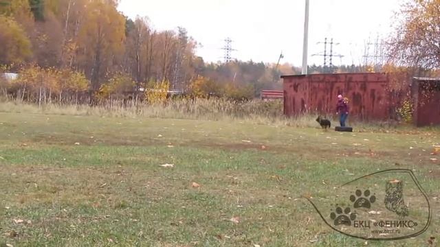 20.10.18 г. двойной подзыв 2 ч.