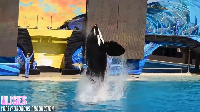 Kill Em With Kindness Cetacean MEP parts 9 and 10