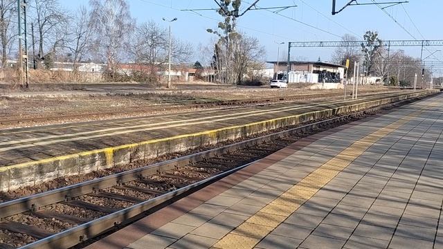 Pierwszy donejt Puszczycki.