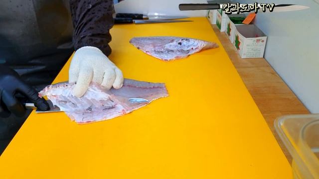 형님이 낚시로 잡으신 시즌 마지막 감성돔 회뜨기 , black sea bream