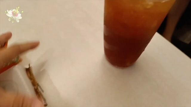 🇨🇳🇭🇰 2024.08 (廣東話)☕西式餐廳下午茶:🍄🧀蘑菇溶岩芝士帕尼尼包🦞龍蝦湯雞蛋三文魚天使麵 🍑水蜜桃乳酸蘇打 🍋新鮮冷壓檸檬茶 | 香港將軍澳東港城✨滿天星星StarWish✨