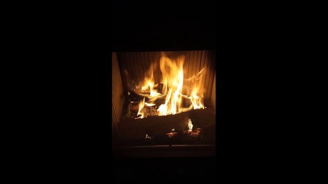 Может ли повредиться уплотнительный шнур на дверце камина