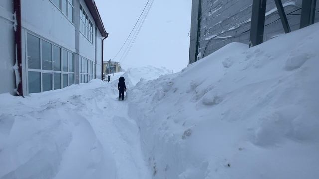 08.02.2025г., Сахалин, Южно-Сахалинск, опять метель.