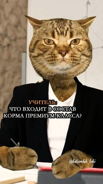 Если бы существовала "Академия котиков" 😅 #коты #школа #shorts #школьныебудни #shcool #cat