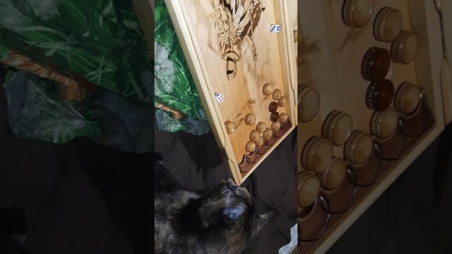 Моня играет в  нарды