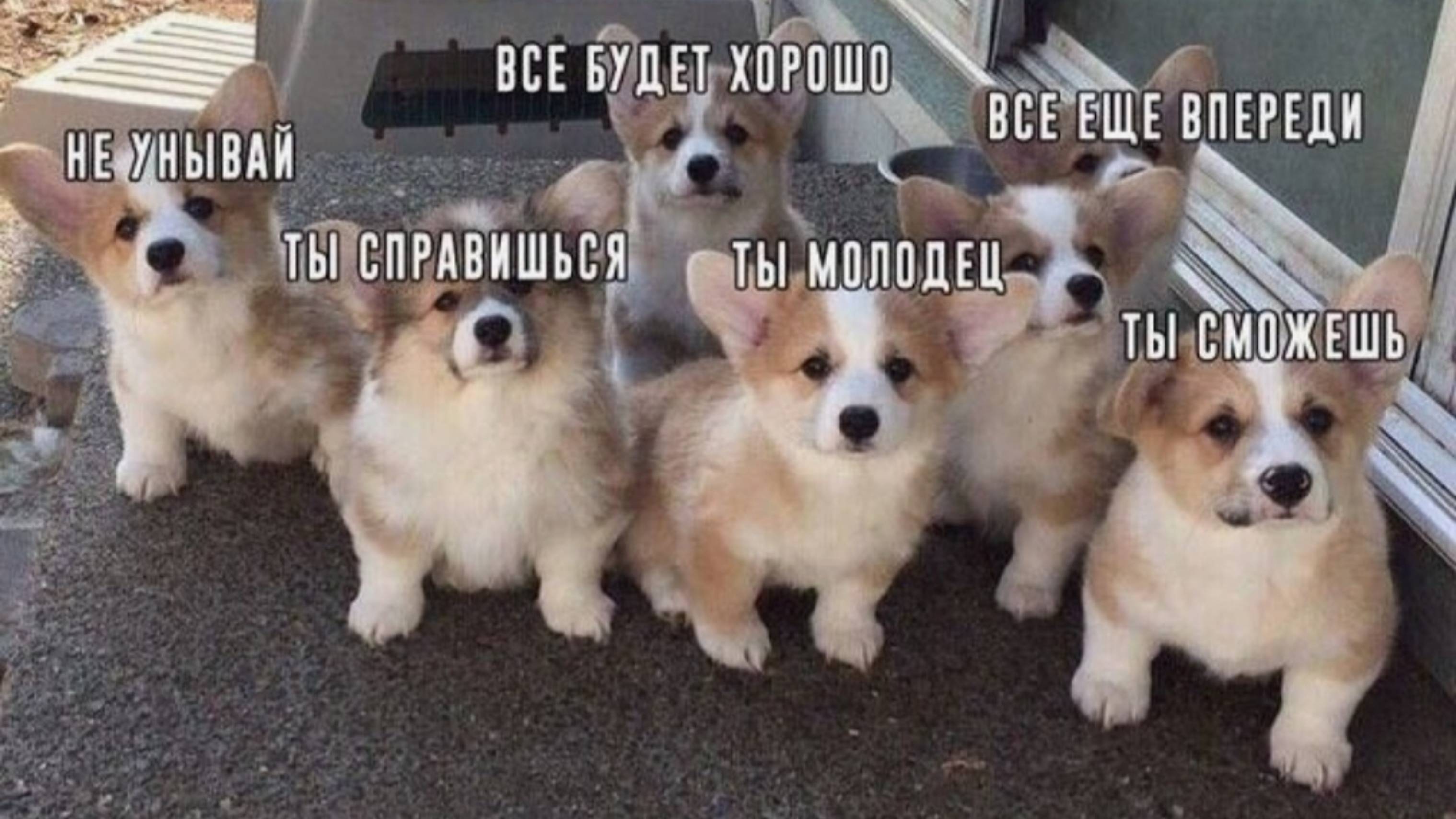 Свет внутри: Искусство поддержки и сочувствия себе