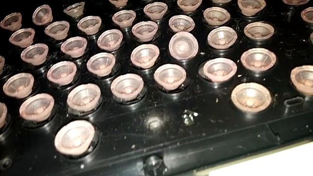 To much OSU??? YEP!!!!
