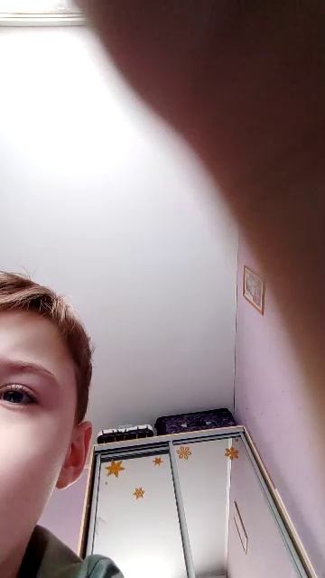 симулятор жизни