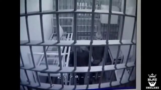 Клип чёрный дельфин