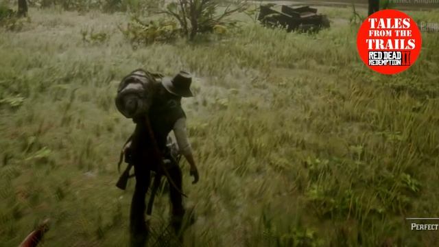 🗣 RDR2: Death by Pelt - Alligator Snapping Turtle - 1080p HD Red Dead Redemption 2