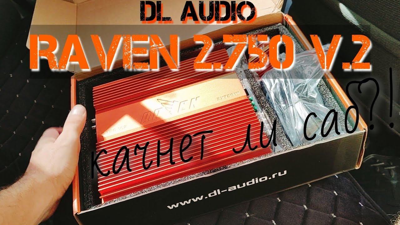 DL Audio Raven 2.750 v.2 - обзор на коленке.