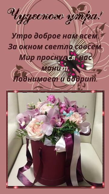 Доброе утро! Музыкальная открытка с пожеланием доброго утра, хорошего дня. #Shorts
