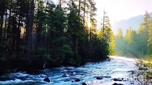 Научи меня, Господи # христианская песня