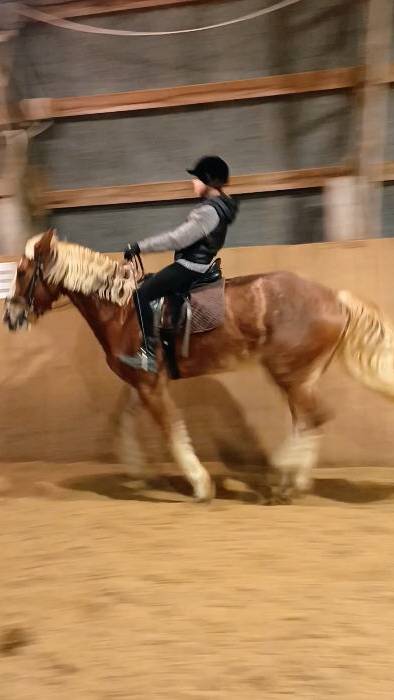 Саша и Каспер, галоп. #horse #equestrian #лошади #pony