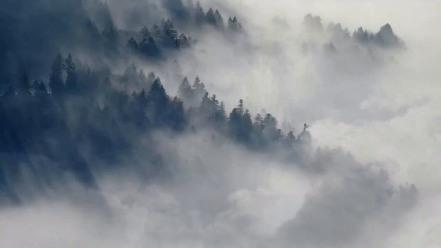 Best Piano Relaxation Music for Meditation | Studying, Seeping | Rain Sound | Clever Relaxing Music