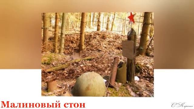 малиновый стон