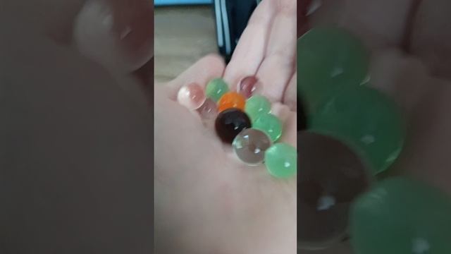 обзор на орбизы