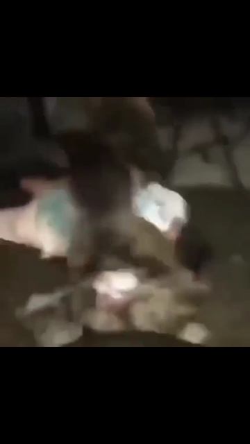 Человек собаке друг