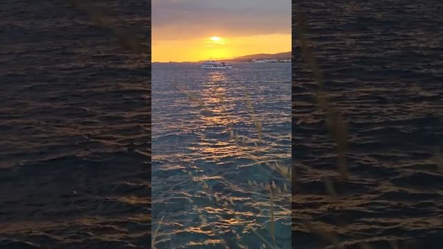 Море Геленджик