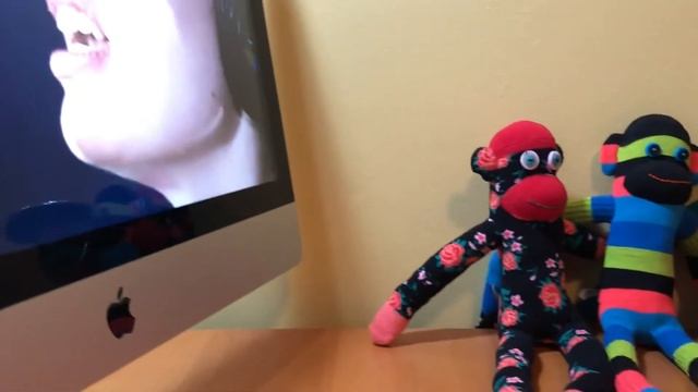 Sock monkey Robert REACTION to Amanda Tenfjord sings Kill The Lonely on NRK P3