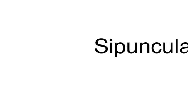 How to pronounce Sipuncula