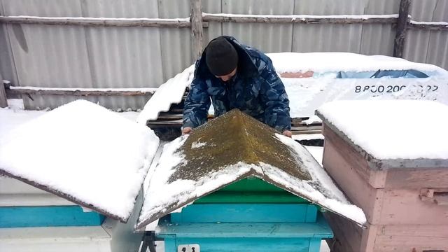 8.02.25. Пасека! Морозы, пчелы сжались, но не все!!!