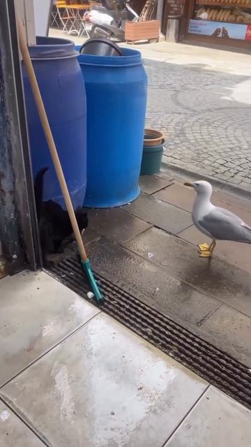 Кто успел тот и съел..